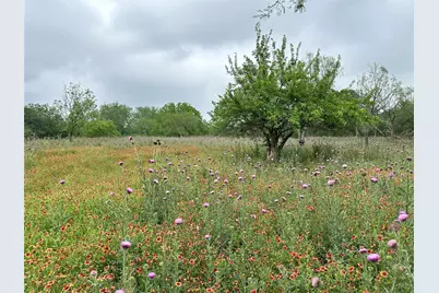 379 Vintners Way, Fredericksburg, TX 78624 - Photo 5