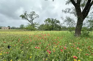 379 Vintners Way, Fredericksburg, TX 78624 - Photo 1