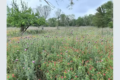 379 Vintners Way, Fredericksburg, TX 78624 - Photo 19