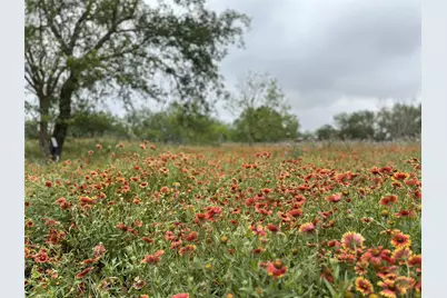 379 Vintners Way, Fredericksburg, TX 78624 - Photo 3