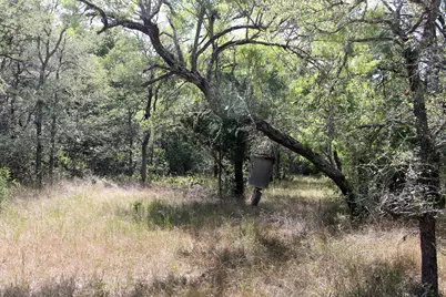 720 Green Acre Drive, Dale, TX 78616 - Photo 29