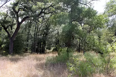 720 Green Acre Drive, Dale, TX 78616 - Photo 17