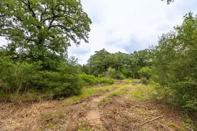 492 S Old Potato Road, Paige, TX 78659 - Photo 13