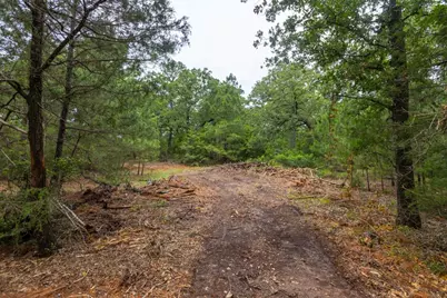 492 S Old Potato Road, Paige, TX 78659 - Photo 9