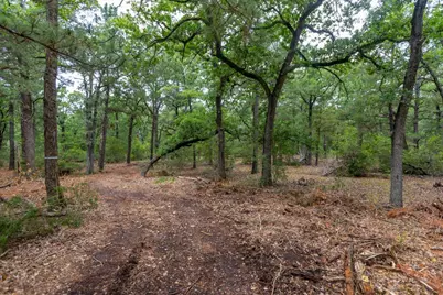 492 S Old Potato Road, Paige, TX 78659 - Photo 5