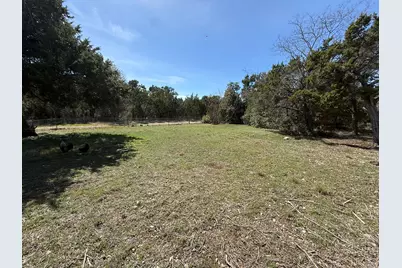 1310 Falcon Oaks Drive, Leander, TX 78641 - Photo 3