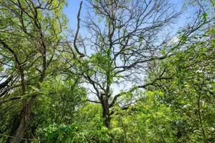 1511 Terrapin Ct, Austin, TX 78746 - Photo 27