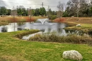 700 Mandarin Flyway, Cedar Park, TX 78613 - Photo 17
