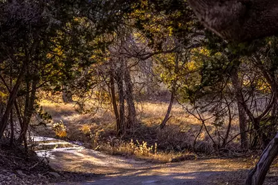 Tbd Steitle Road, Fredericksburg, TX 78624 - Photo 25