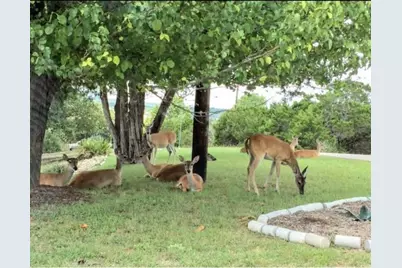 2601 Patriot Drive, Lago Vista, TX 78645 - Photo 9