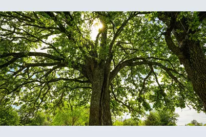 8770 Lee Lane, Madisonville, TX 77872 - Photo 23