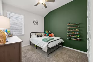 369 Sue Peaks Loop, Dripping Springs, TX 78620 - Photo 13