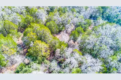 00 B J Mayes Drive, Bastrop, TX 78602 - Photo 21