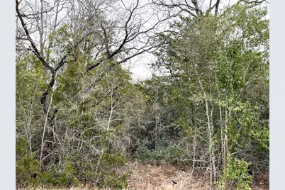 00 B J Mayes Drive, Bastrop, TX 78602 - Photo 31