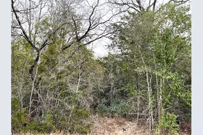 00 B J Mayes Drive, Bastrop, TX 78602 - Photo 31