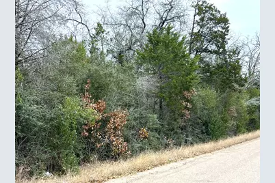 00 B J Mayes Drive, Bastrop, TX 78602 - Photo 13