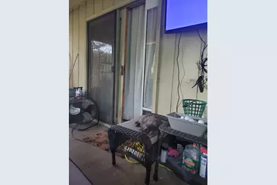 305 Columbine Street, Marble Falls, TX 78654 - Photo 11