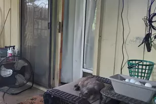 305 Columbine St, Marble Falls, TX 78654 - Photo 11