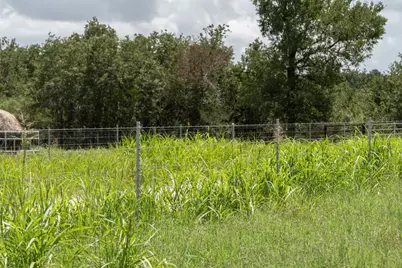 Tbd St Delight (Tract 4) Road, Paige, TX 78659 - Photo 5