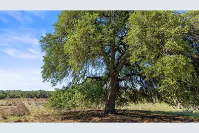 6590 US 290, Dripping Springs, TX 78620 - Photo 11