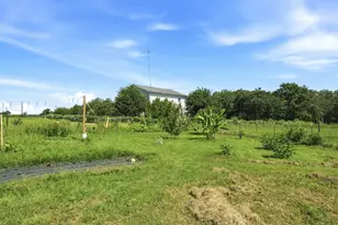 1951 Co Rd 475, Thrall, TX 76578 - Photo 29