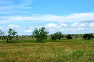 Tbd County Road 963 E, Bertram, TX 78605 - Photo 5