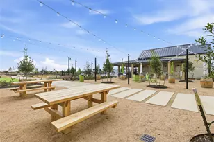 117 Royal Fern Rd, Hutto, TX 78634 - Photo 15