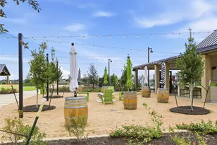 117 Royal Fern Rd, Hutto, TX 78634 - Photo 35