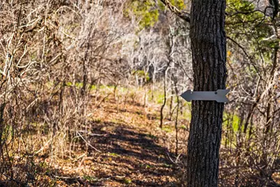 13017 Bob Johnson Lane #C, Manchaca, TX 78652 - Photo 15