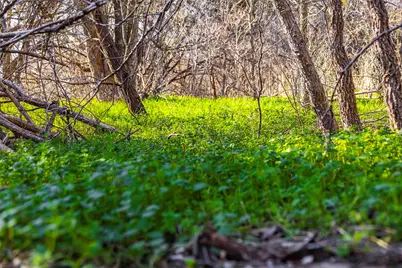 13017 Bob Johnson Lane #C, Manchaca, TX 78652 - Photo 19