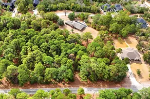 133 & 135 E Keanahalululu Ln, Bastrop, TX 78602 - Photo 37