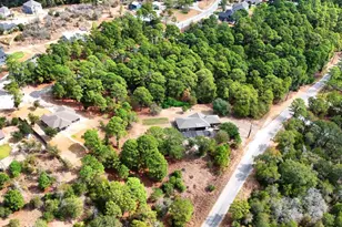 133 & 135 E Keanahalululu Ln, Bastrop, TX 78602 - Photo 35