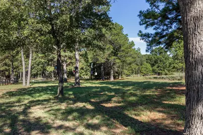 260 Pine Valley Loop, Smithville, TX 78957 - Photo 9