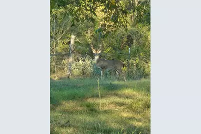 [Address not provided], Bastrop, TX 78602 - Photo 17