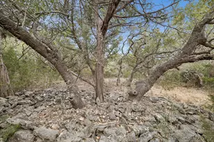 1398 Lazy Forest Forest, New Braunfels, TX 78132 - Photo 11