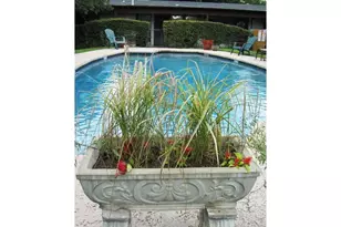 5601 Woodrow Ave, Austin, TX 78756 - Photo 17
