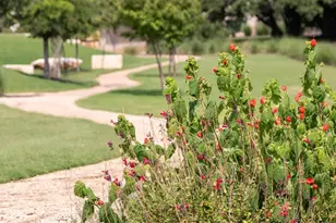 1256 Jolie Rose Bnd, Leander, TX 78641 - Photo 21