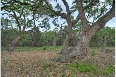 11916 Jim Bridger Drive, Austin, TX 78737 - Photo 21
