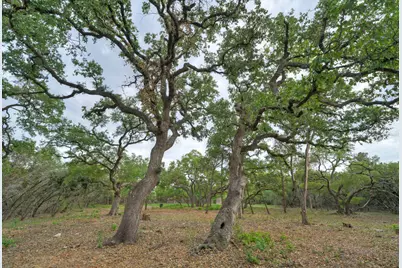 11916 Jim Bridger Drive, Austin, TX 78737 - Photo 23