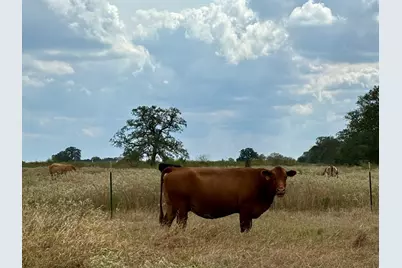 3 Big Sky Ranch Road, Smithville, TX 78957 - Photo 7