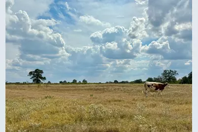 3 Big Sky Ranch Road, Smithville, TX 78957 - Photo 1