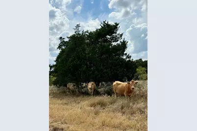 3 Big Sky Ranch Road, Smithville, TX 78957 - Photo 9