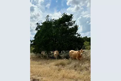 3 Big Sky Ranch Road, Smithville, TX 78957 - Photo 9