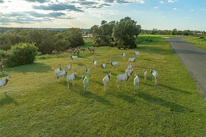 Lot 129 & 130 Lynx Cove Road, Blanco, TX 78606 - Photo 3
