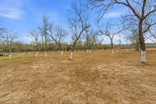 1278 Fm 812 Rd, Cedar Creek, TX 78612 - Photo 5