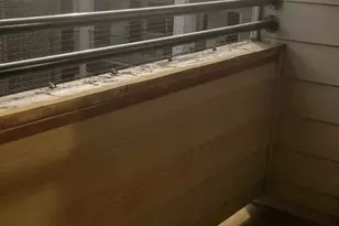 501 W 26th St, Austin, TX 78705 - Photo 17