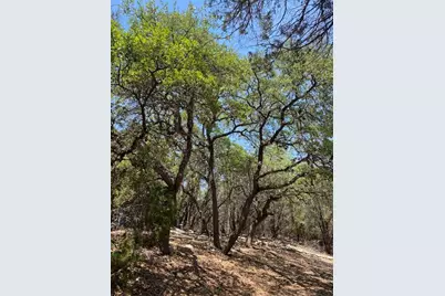 17803 Moon Rise Cove, Jonestown, TX 78645 - Photo 13