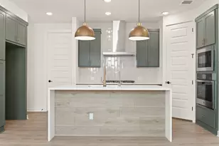 344 Milkwood Ter, Dripping Springs, TX 78620 - Photo 13