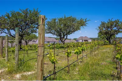 7705 Alouette Drive, Austin, TX 78738 - Photo 37