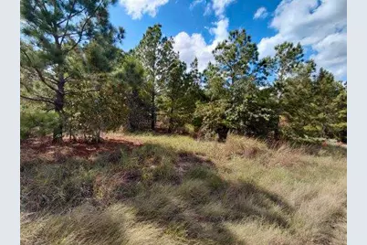Lot 3 Tall Forest Drive, Bastrop, TX 78602 - Photo 5